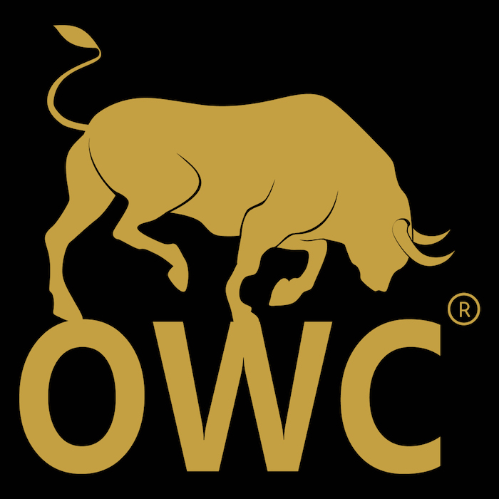 ODUWA BLOCKCHAIN MONEY, THE FINTECH SOLUTION TO AFRICA’S FINANCIAL TROUBLE