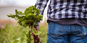 Shortage of Farmworkers Threatens Americans’ Food Supply During the Coronavirus