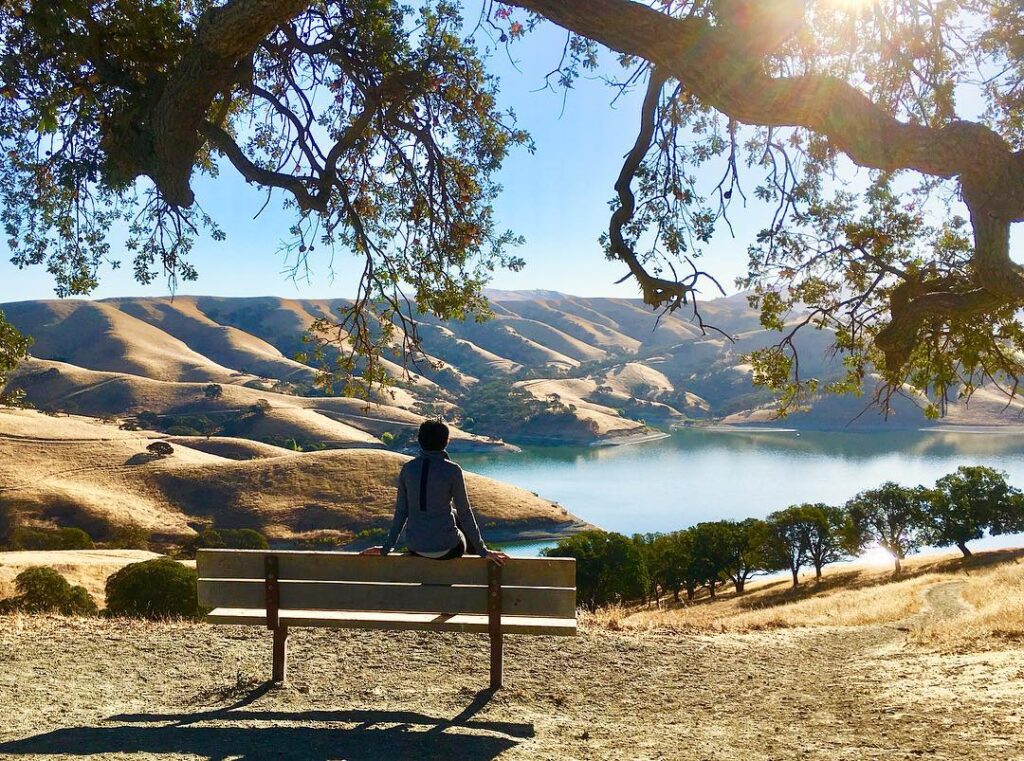 Enjoy, Don’t Destroy, Our Public Parks More Visitors Put Native Wildlife and Habitat at Risk