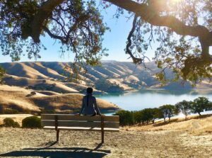 Enjoy, Don’t Destroy, Our Public Parks More Visitors Put Native Wildlife and Habitat at Risk