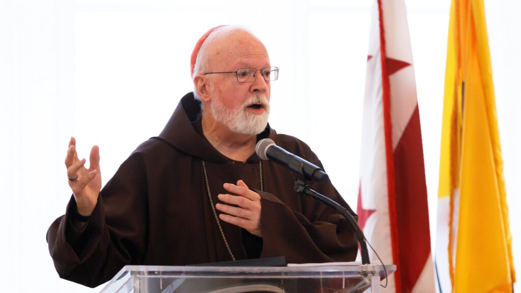 A 'nation of immigrants' should identify with migrants' plight and human dignity, says Boston cardinal