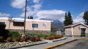 The Pepper Tree Elementary Racist Bullying Scandal, Underscores African Immigrants’ Naivete & Ignorance About White Privilege