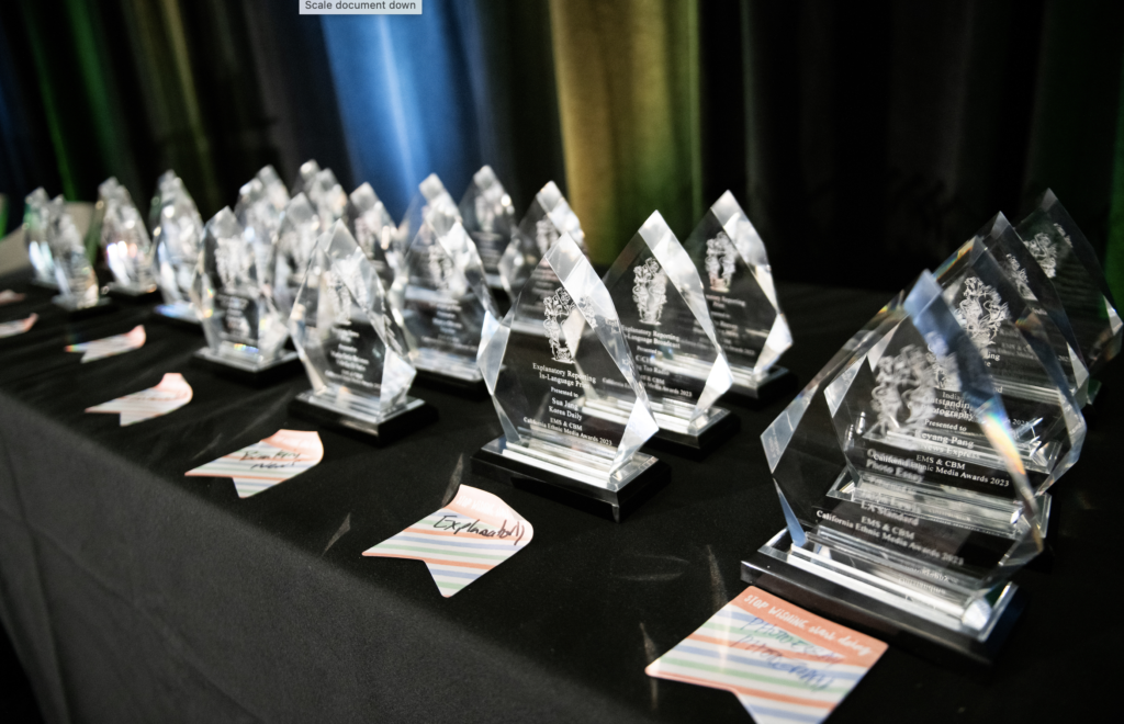 And the Winners Are... Celebrating Storytelling Excellence in Ethnic Media