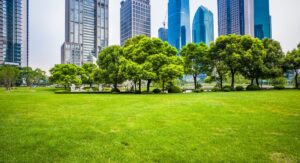 How Green is My City? How Trees and Parks Add Years to Longevity