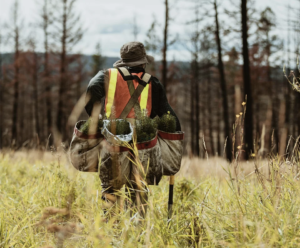 Empowering California's Future: The California Forestry Sector Jobs Initiative and the Fight Against Wildfires
