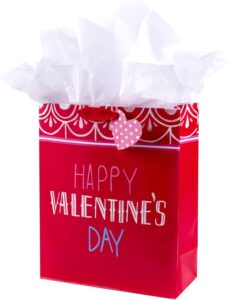 Gift Bag with Tissue Paper
