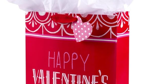 Gift Bag with Tissue Paper