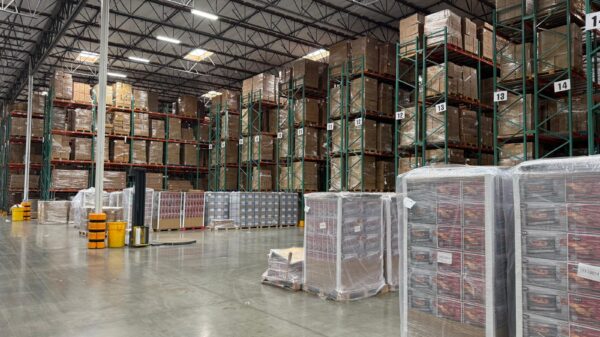 The Hidden Cost of Cheap: Why Smart Importers Look Beyond Freight Rates